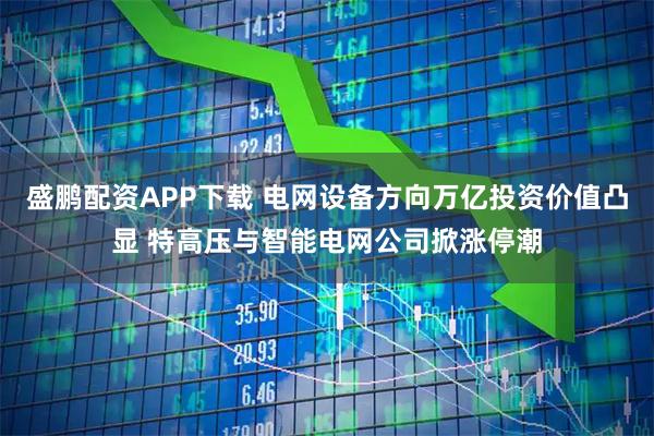 盛鹏配资APP下载 电网设备方向万亿投资价值凸显 特高压与智能电网公司掀涨停潮